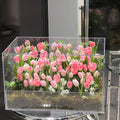 Best Valentine’s Day Gift High Quality Artificial Silk Pink Tulip Arranged in Clear Acrylic Boxes with LED Light - Free Shipping