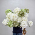 Manufacturer Custom 60cm White Green Artificial Hydrangea Flower Arrangement for Wedding Aisle Decoration Flower Bouquet - Free Shipping
